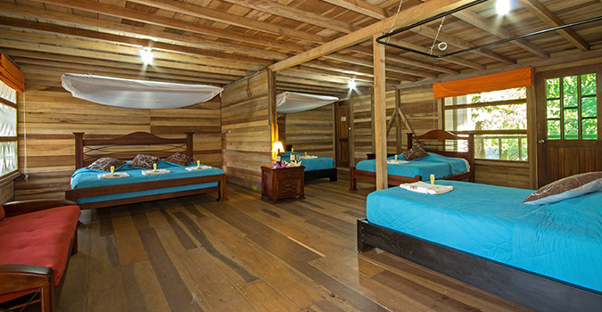 accom multi