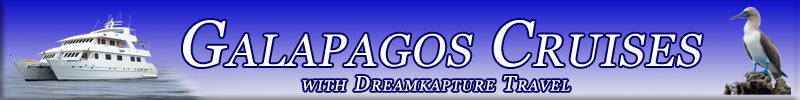Dreamkapture Travel