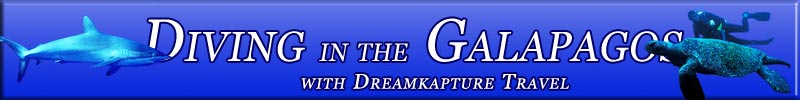 Dreamkapture Travel