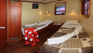 Cabin Xavier