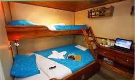 Daphne Upper Cabin