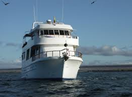 Darwin bow 