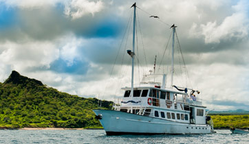 Portside Golondrina
