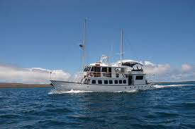 Golondrina Sailing