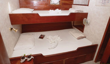 Samba Cabin